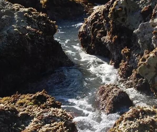 Bed and breakfast Elianthos 3*