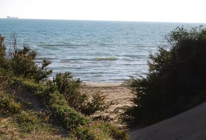 Elianthos Oda ve Kahvaltı